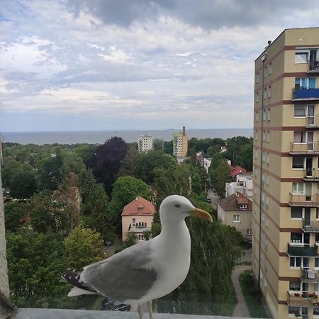 소포트 Apartament Widokowo 아파트 외부 사진