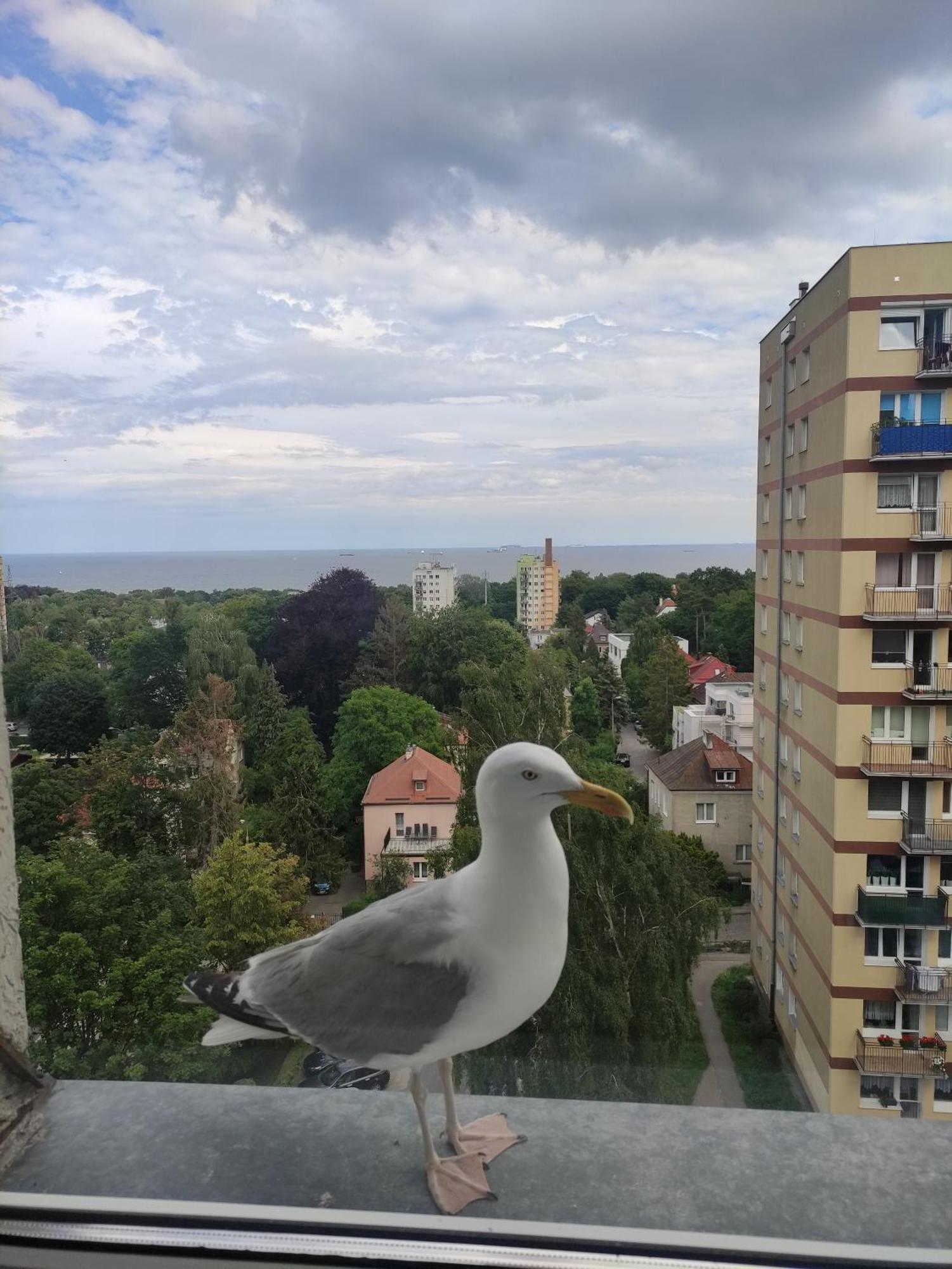 소포트 Apartament Widokowo 아파트 외부 사진